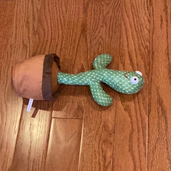 Cactus for kids. - Picture 3 of 14